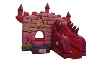 Princess Dragon Hire