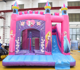Princess Combo Hire for $220