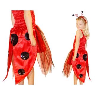 Fairy Girls Lady Bird Dress