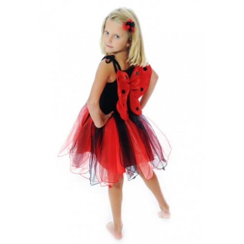 Lady Bird Party Dress with Wings